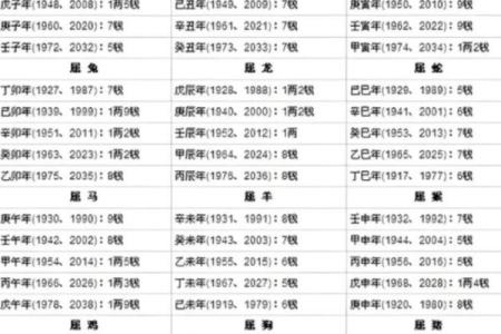 骨骼算命图
