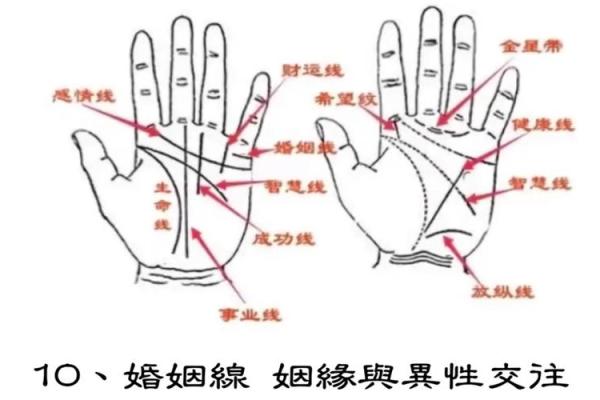 看手相算命图解：手