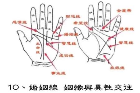 看手相算命图解：手