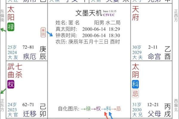 紫薇斗数星象解析