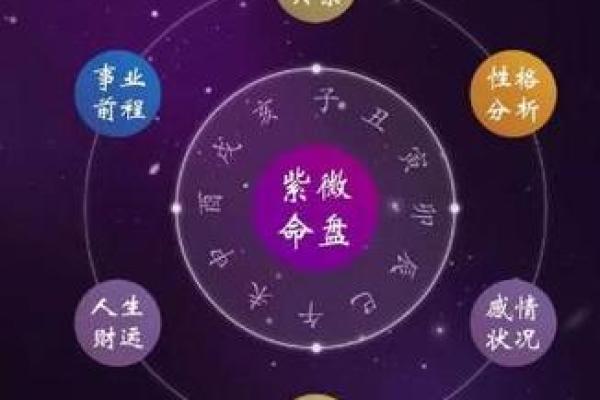 什么是紫薇斗数流年