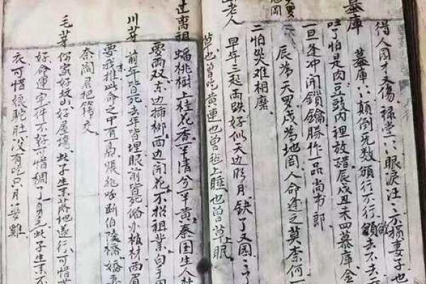 数字算命秘笈