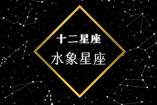 十二星座在什么情况下会感情用事