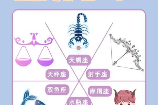 十二星座分别代表的花都有哪些呢
