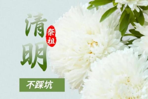 8月扫墓吉日查询2024年