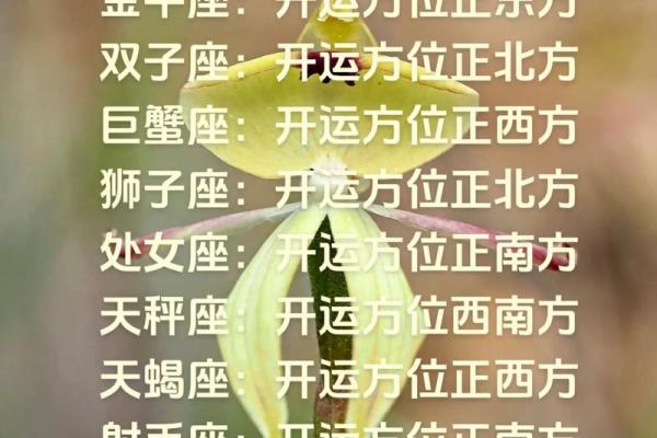 2013年十二星座运势详解