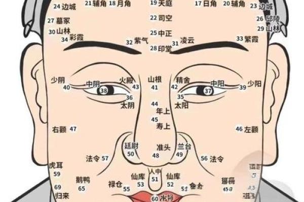 脸部黑痣算命图解
