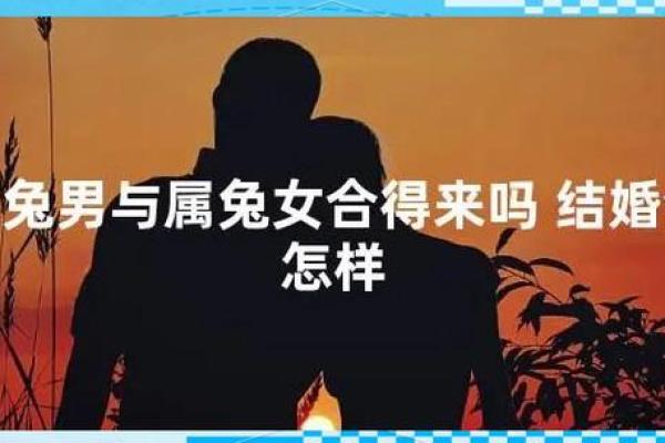属兔的女人和什么属相最配对 属兔的女人和什么属相最配婚姻