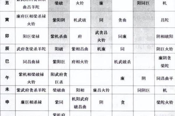 紫微斗数诸星落诸宫之，天府星：阳土疾厄宫详解