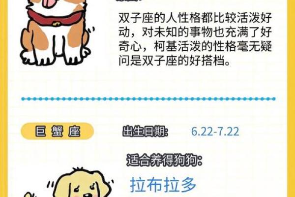 狗年运势旺到爆的星座