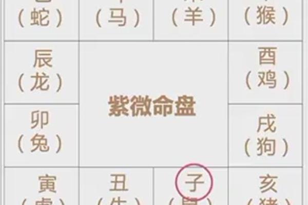 紫薇斗数地盘时辰