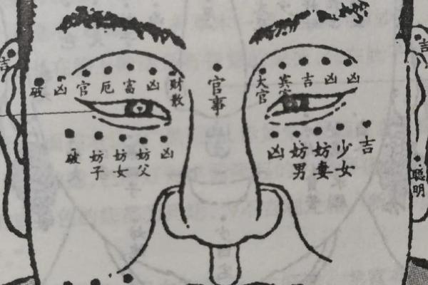 人脸拍照算命女