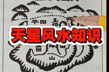 天星风水张子成风水