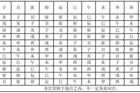 紫薇斗数体用宫