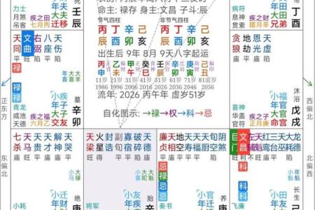 紫薇斗数姓名
