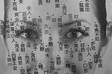 脸部黑痣算命图解