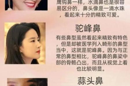 风水面相嫁给鹰钩鼻男人的下场会幸福吗
