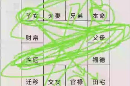 紫薇斗数官禄宫天府