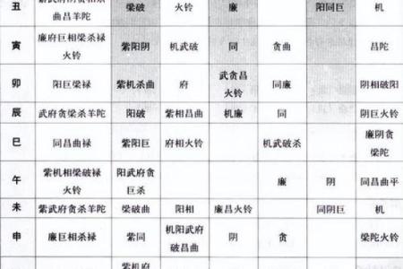 紫微斗数诸星落诸宫之，天府星：阳土疾厄宫详解