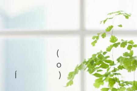 月老灵签第59签解签