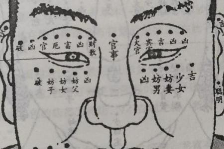 人脸拍照算命女