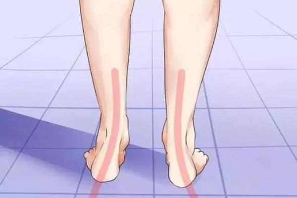 外八字胸