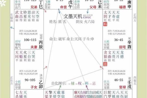 紫薇斗数看领导