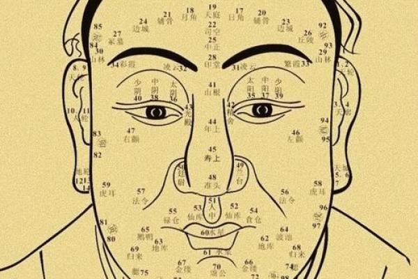 女人耳朵看相算命