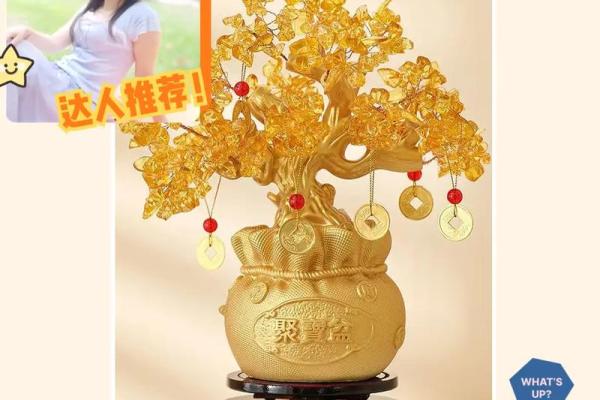 如何让自己运气旺起来使用什么风水摆件