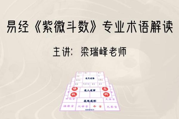 紫薇斗数名词