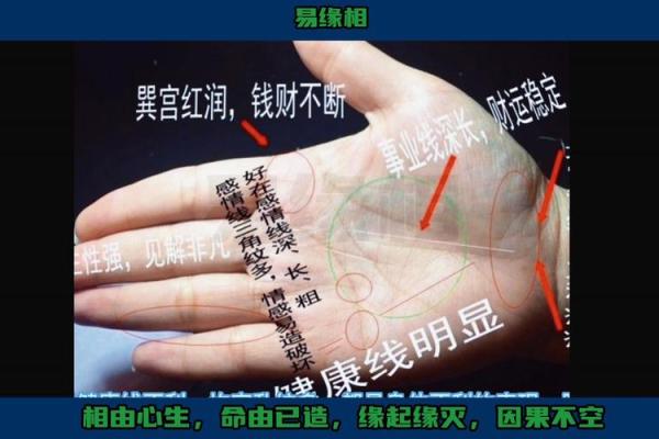 怎样看手纹给自己算命 富贵的手相