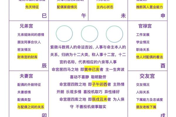 紫薇斗数看生儿生女