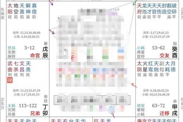 生年紫微斗数 紫薇斗数生年忌？