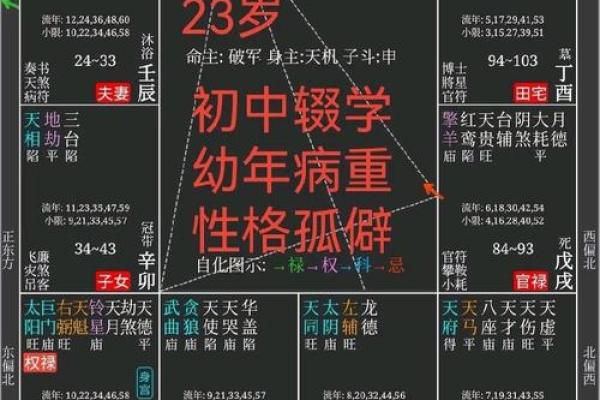紫薇斗数流陀