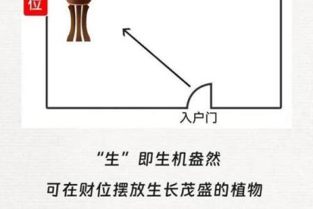 风水财位摆放有哪些事项需注意