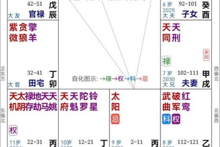 紫薇斗数看领导