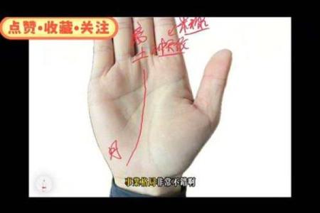 算命的说手相句子