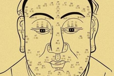 女人耳朵看相算命