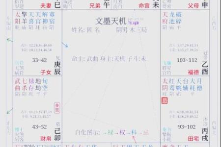 紫薇斗数名词