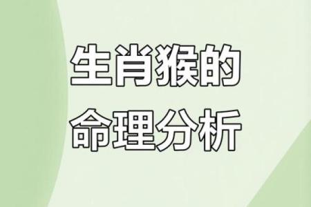 属猴人算命