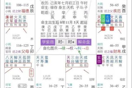 紫微斗数诸星落诸宫之：太阴星财帛宫详解