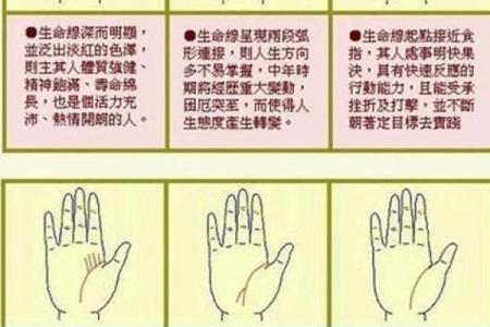 怎样看手纹给自己算命 富贵的手相