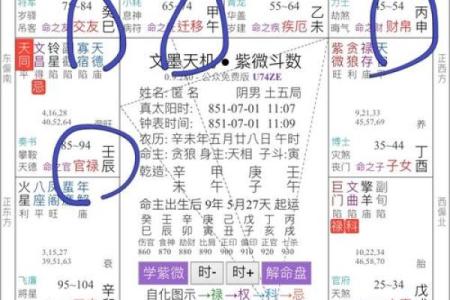 紫微斗数看远嫁 紫微斗数看移民远嫁？