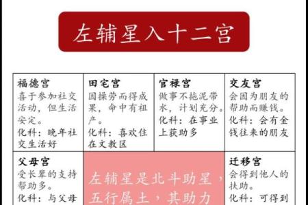 紫薇斗数中的加什么意思