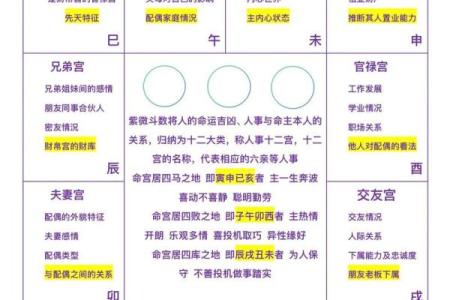 紫薇斗数看生儿生女