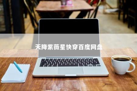 天降紫薇星快穿百度网盘