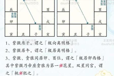 紫微斗数之贪狼星坐命宫 ，是什么意思？