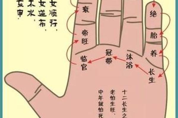 如何通过手相手纹算命-