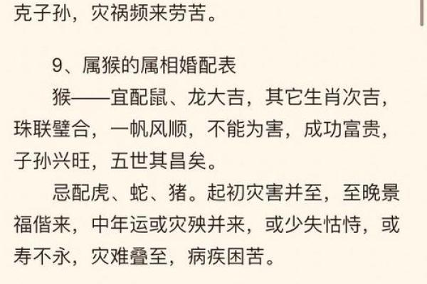 生肖配对属鼠属鸡的婚姻怎么样