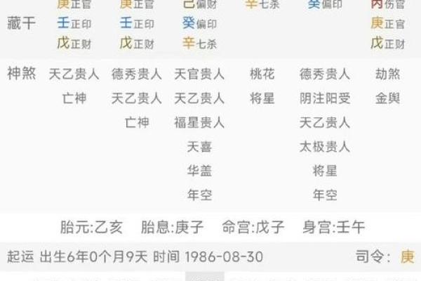 算命说有两个替子